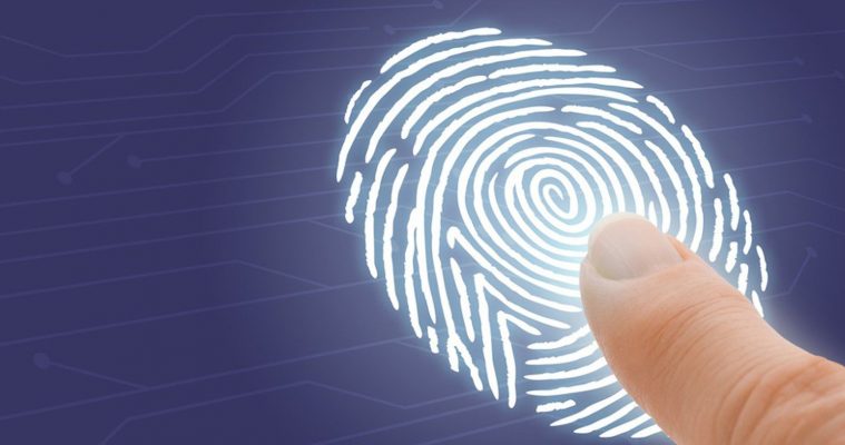 sinh trắc vân tay