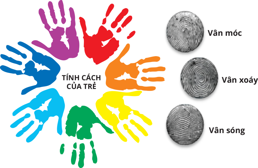 sinh trắc vân tay