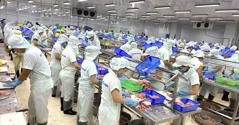 việc làm thời vụ