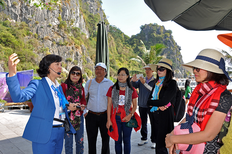 lương hướng dẫn viên du lịch